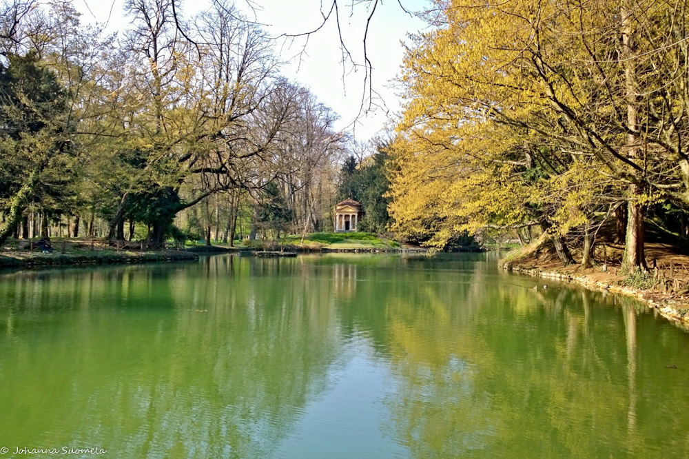 Monzan puiston Villa Realen kalalammikko.